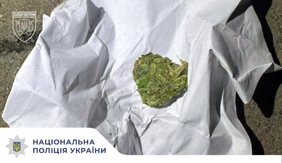 Зчинив скандал на заправці, тримаючи в кишені наркотичну речовину: у Зорі поліцейські охорони вгамовували дебоширів
